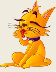 Picture of the cat grooming itself