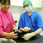 Christopher - student of our Cat Grooming School