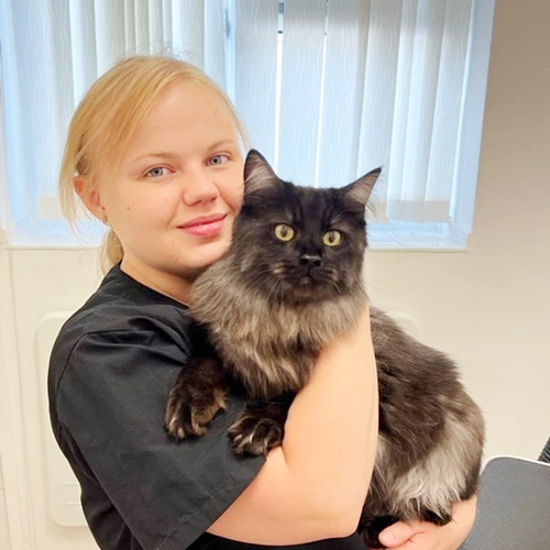 Picture of Kate - Feline Beautician at Pet Universe Picture of Kate - Feline Beautician at Pet Universe