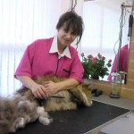 Anneka During Grooming