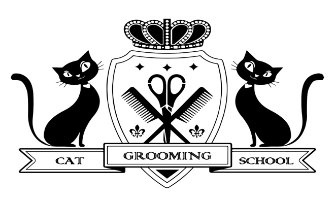 Welcome To Our Cat Grooming School
